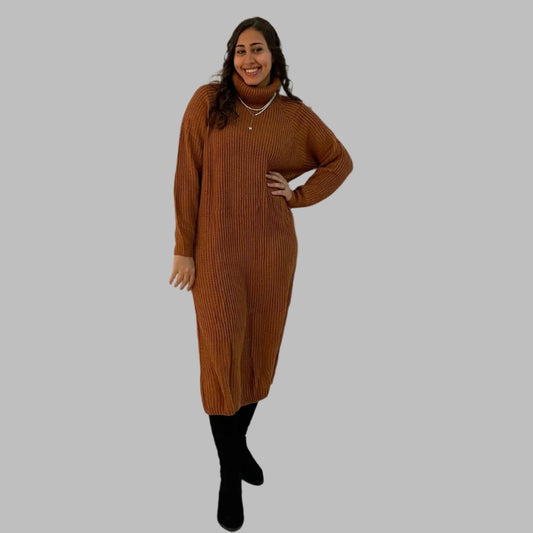 Turtle neck knitted dress