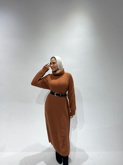 Turtle neck knitted dress