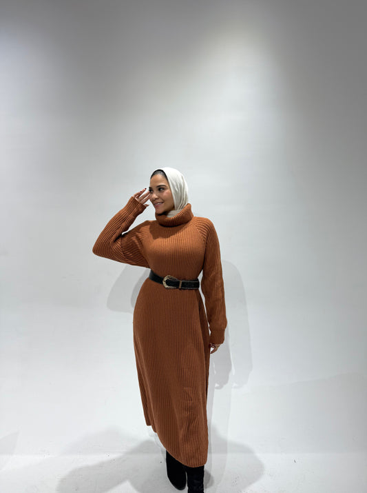 Turtle neck knitted dress